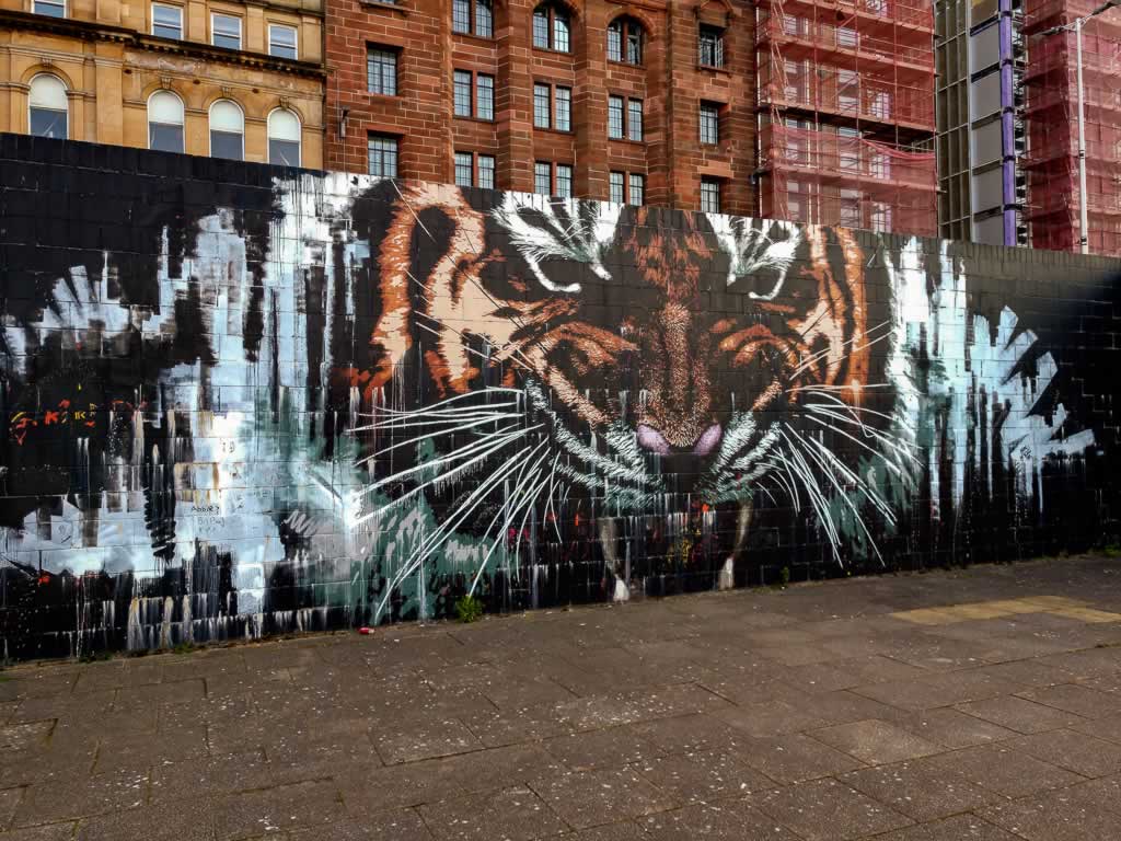 glasgow 16 tiger style mural